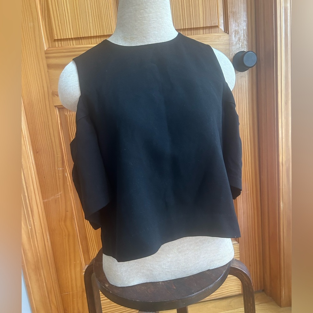 Club Monaco Black Cropped Top